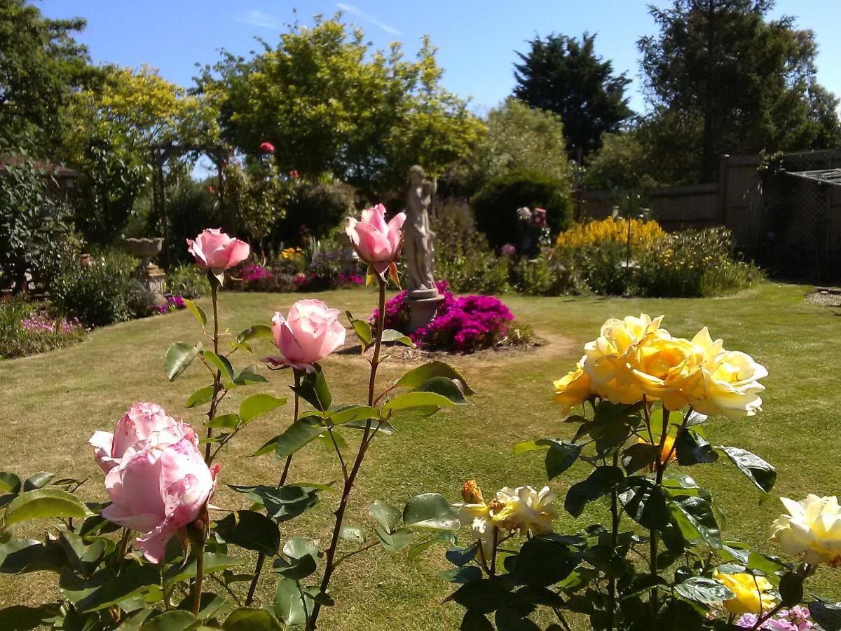 Cherry Garden B&B Folkestone Kültér fotó